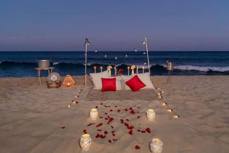 Luxury picnic by the sea in Los Cabos - Key Points