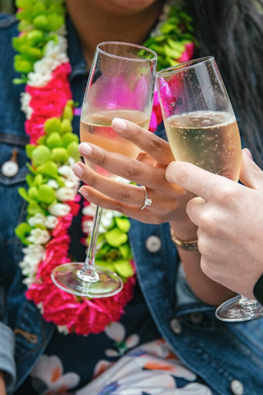 Luxury Picnic Volcanoes & Waterfalls: Private Helicopter - Final Thoughts