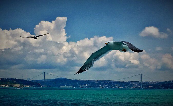 Luxury Private and Guided Istanbul Food Tour with a local guide - An In-Depth Look at the Tour