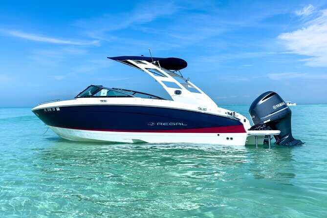 Luxury Private Boat Adventure in Tampa Bay - What to Expect on This Private Boat Adventure