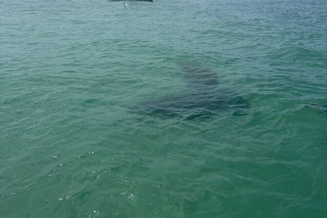 Luxury Private Boat Adventure in Tampa Bay - The Real Value and Final Thoughts