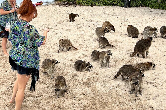 Luxury Private Boat Tour from Miami Beach - Key Points