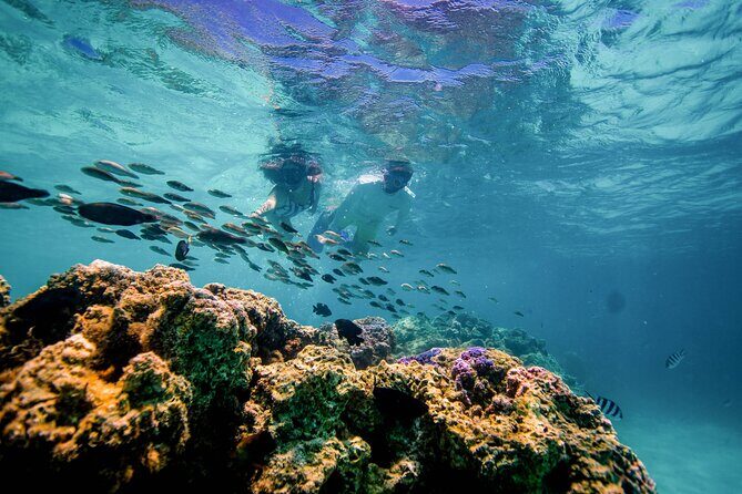 LUXURY PRIVATE Catamaran Bora Bora : Full-Day Trip - FAQs