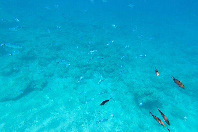 Luxury Private Cruise to Anthony Quinn Bay, Ladiko & Kallithea - Who is This Tour Best Suited For?