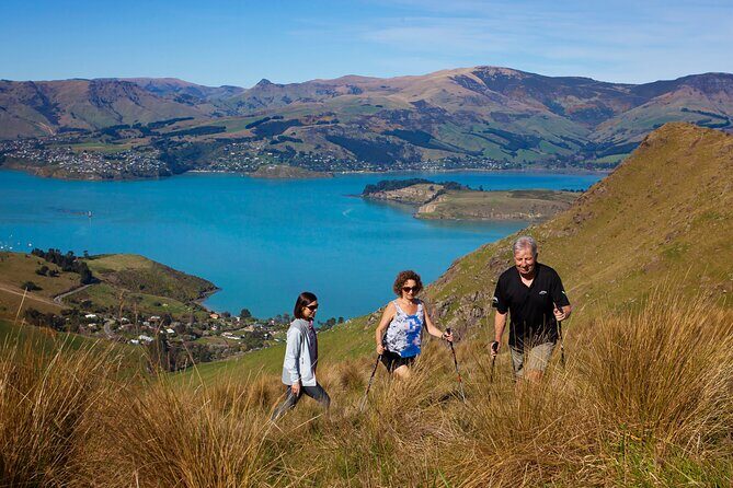Luxury Private Guided Crater Rim Walk on Banks Peninsula - Key Points