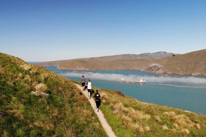Luxury Private Guided Crater Rim Walk on Banks Peninsula - Who Is This Tour Best Suited For?