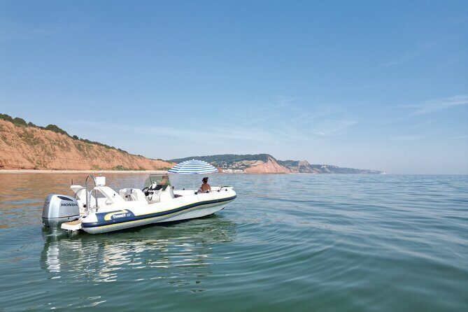 Luxury Private Rib Tour to Babbacombe Bay from Exmouth Marina - Key Points
