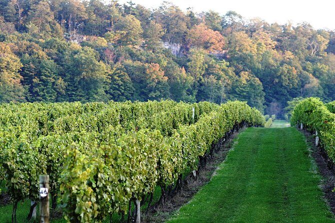 Luxury Private Tour of Niagara Falls from Toronto - In Summary: Who Is This Tour Best For?