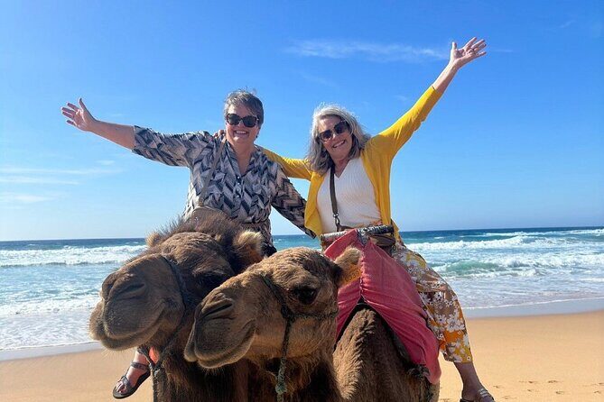 Luxury Private Tour of Tangier from Malaga All Inclusive - Who Is This Tour Best For?