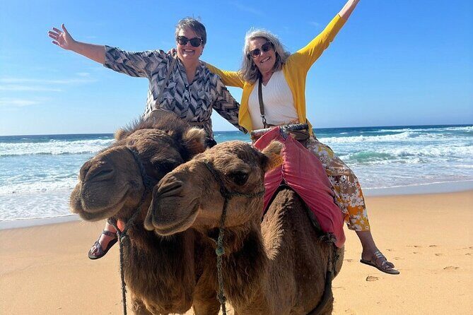 Luxury Private Tour of Tangier from Marbella All Inclusive - Final Thoughts