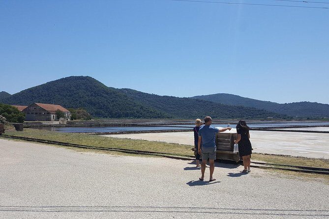 Luxury private transfer Split - Dubrovnik with lunch in Ston - The Experience and What Travelers Say