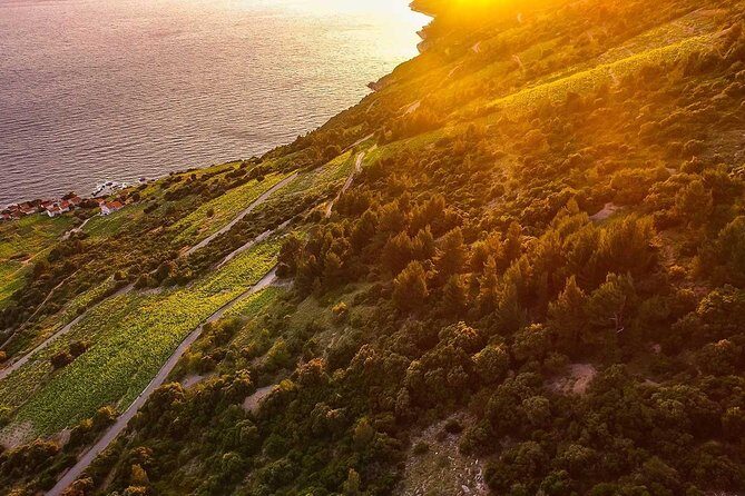 Luxury private transfer Split - Dubrovnik with lunch in Ston - Final Thoughts