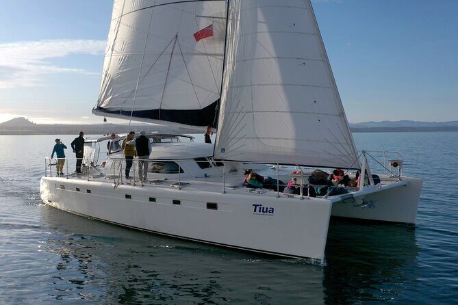 Luxury Sailing - Mori Rock Carvings - Taupo Sailing Adventures - A Detailed Look at the Experience