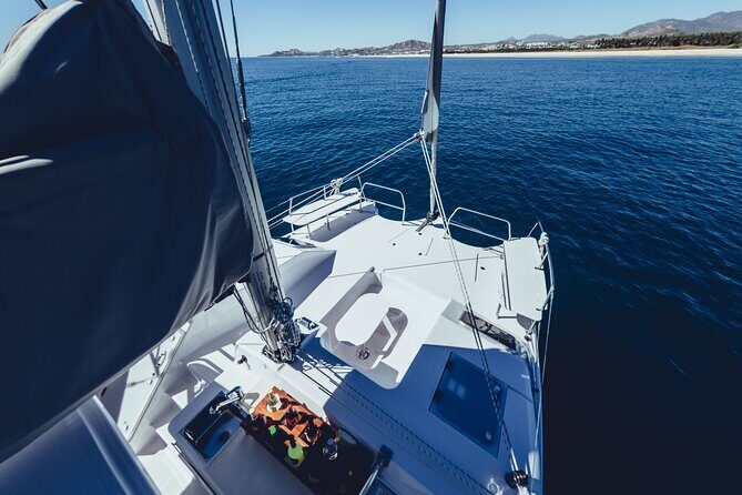 Luxury Sailing Whale Watch and The Arch (Dec 15 - Apr 15) - What You Can Expect on the Tour