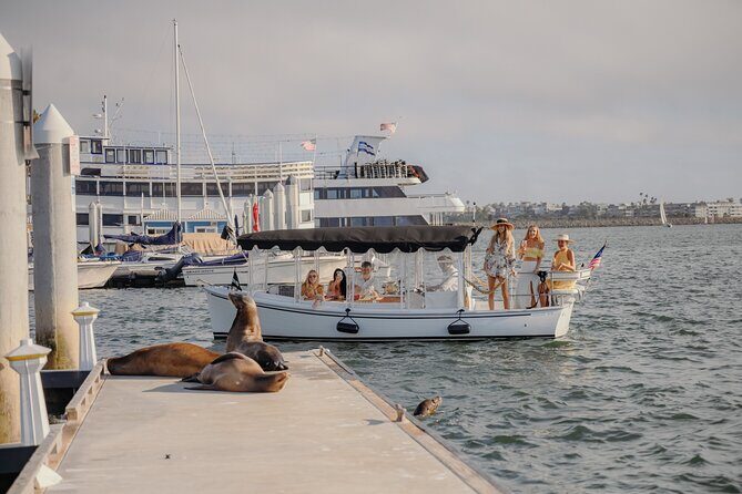 Luxury Shared E-Boat Cruise with Wine, Charcuterie & Sea Lions Spotting - Practical Tips for Booking and Enjoying