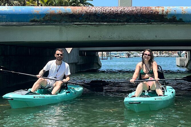 Luxury Single Kayak Tour To An Island Off Clearwater Beach! - An In-Depth Look at the Tour Experience