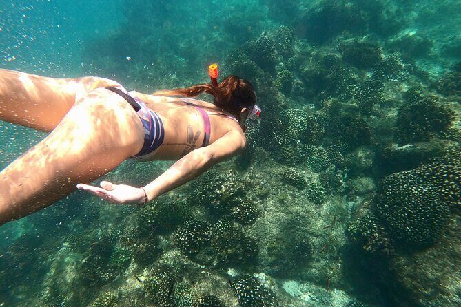 Luxury Snorkel Adventure in Cabo - A Close Look at the Experience