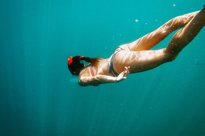 Luxury Snorkel Adventure in Cabo - The Experience from Start to Finish