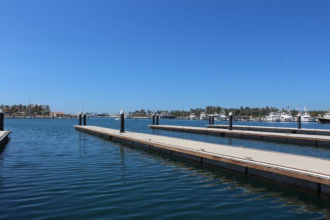 Luxury Snorkel Tour in Sailing Catamaran - The Sum Up