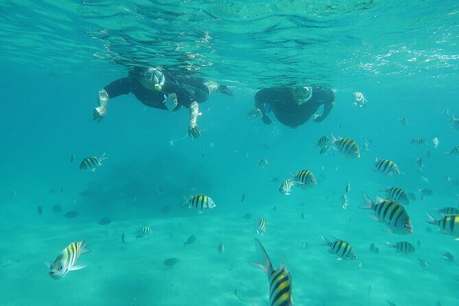 Luxury Snorkeling on Your Vacation Exclusively Private Guaranteed - What You Can Expect from This Snorkeling Tour