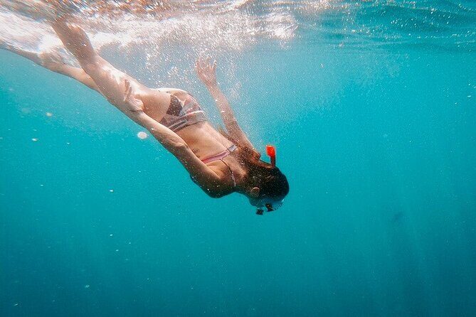 Luxury Snorkeling Tour in Cabo San Lucas - FAQ: Your Practical Questions Answered