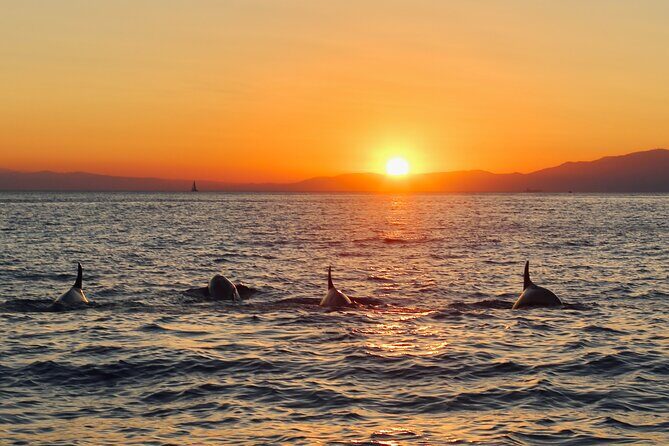 Luxury Sunset Cruise with Aperitif - Practical Details and Tips