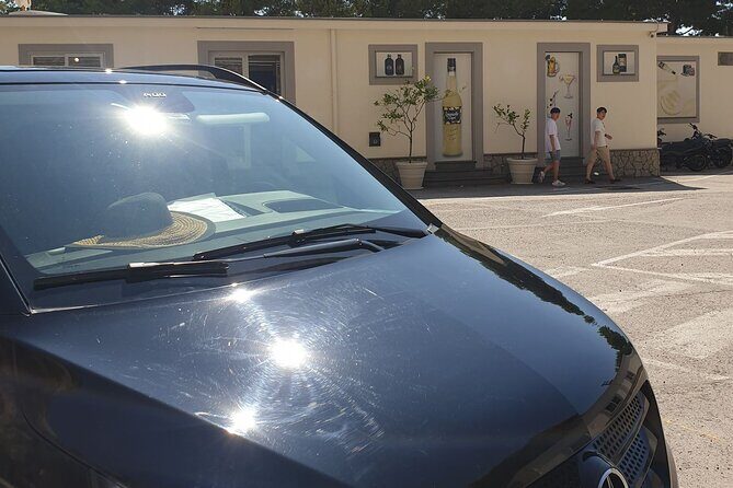 Luxury Tour from Positano to Pompeii and Naples City - The Comfort and Convenience of Private Transportation