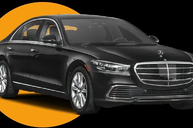 Luxury Transfer From Port of Miami to Miami and Fort Lauderdale - The Pros and Cons Based on Reviews