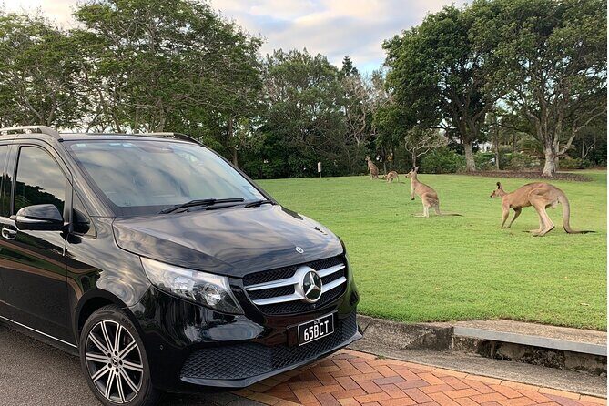 Luxury Vehicle Brisbane Airport to Brisbane Hotel Transfer - Final Thoughts