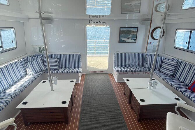 Luxury Whale Watching: Fewer People, Extra Speed, Expert Staff - FAQ: Your Questions About This Whale Watching Tour