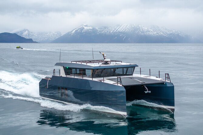 Luxury Whale Watching From Tromso - Small group and local guide - Final Thoughts