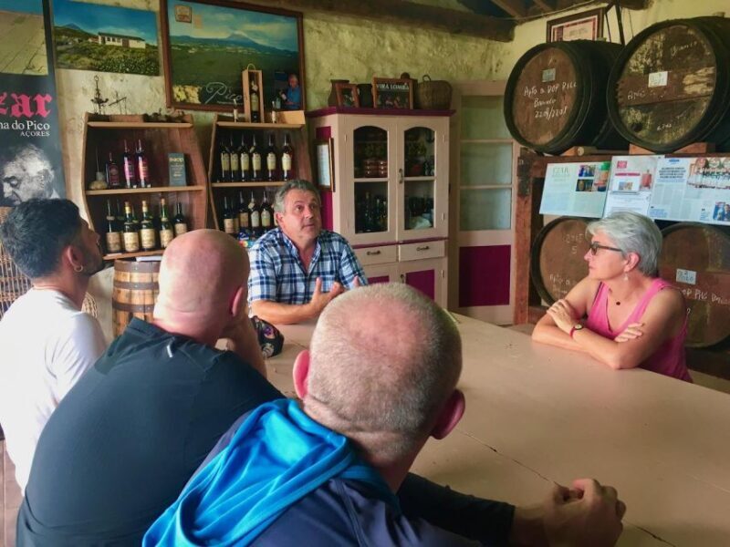 Luxury Wine Tasting at the Czar Pico Winery - Final Thoughts