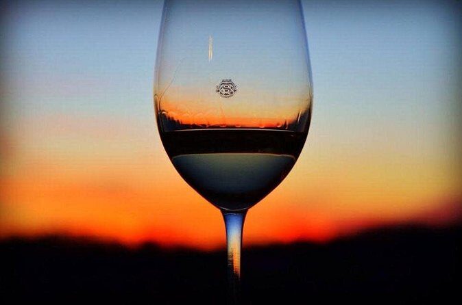 Luxury Wine Tour in Washington DC to Loudoun County Vineyards - Authentic Insights from Past Guests