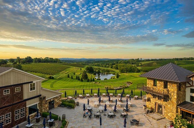 Luxury Wine Tour in Washington DC to Loudoun County Vineyards - FAQs