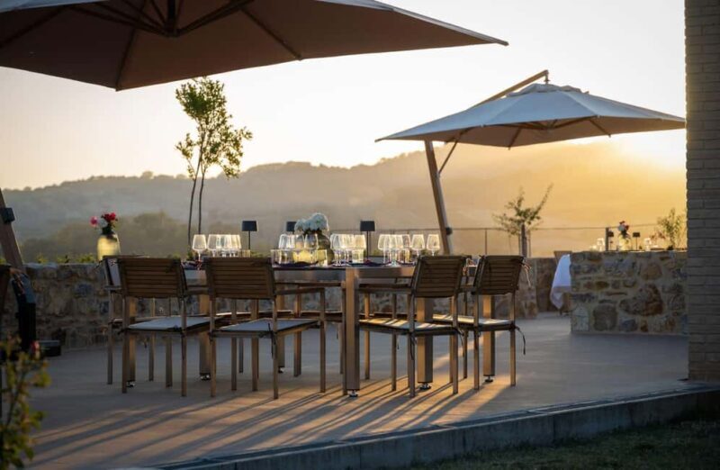 Luxury Winery Tour & Tasting with Local Food in Scansano - Key Points