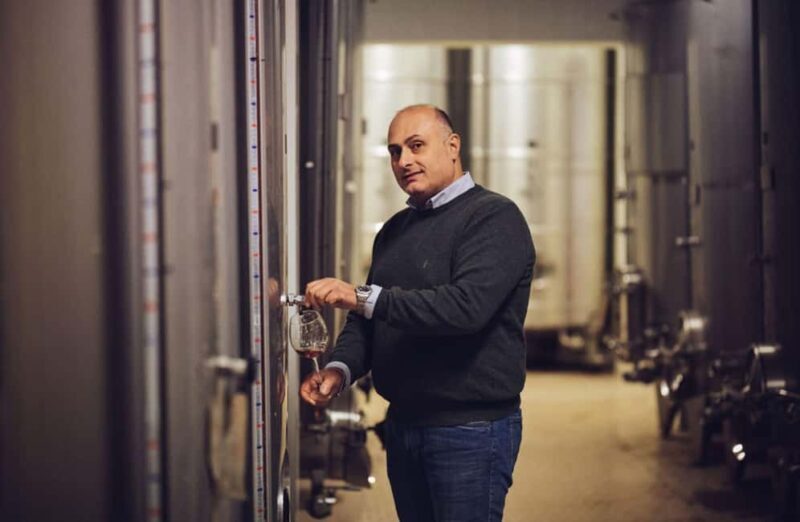 Luxury Winery Tour with Wine and Food Tasting in Sorrento - Key Points