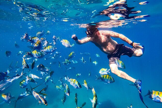 Luxury Yacht & Snorkel with All inclusive Open bar and lunch - Who Is This Tour Best For?