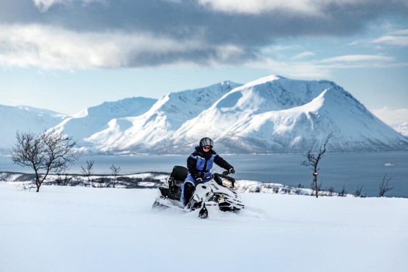 Lyngen: Snowmobile Safari with Lunch in seaside Restaurant - Key Points