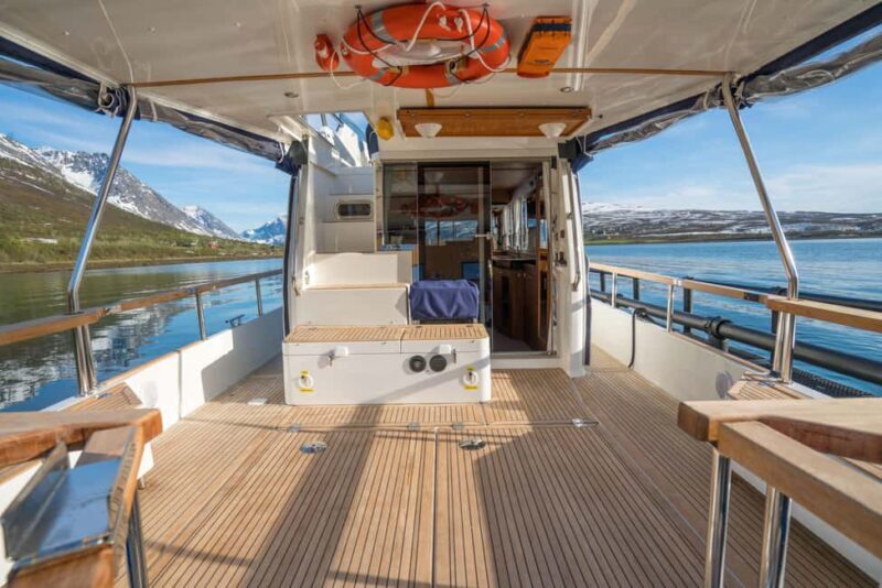 Lyngen: Whale Watching VIP Boat Tour with Lunch - Key Points