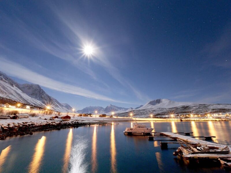 Lyngenalps: Northern Lights Snowmobile Safari - Who This Tour Is Best For