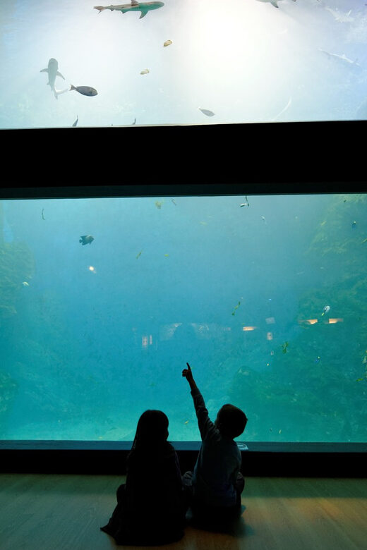 Lyon: Aquarium Entrance Ticket - Practical Considerations