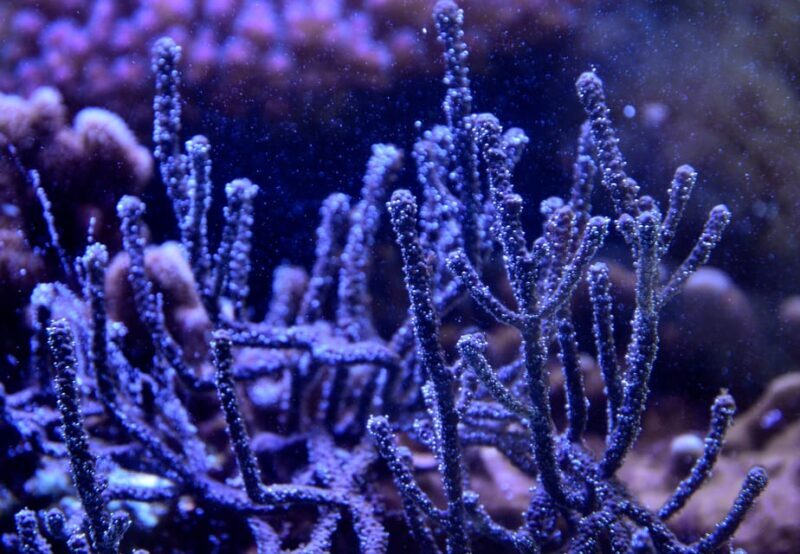 Lyon: Aquarium Entrance Ticket - Final Thoughts