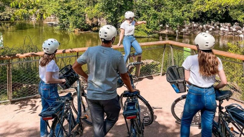 Lyon: Guided E-Bike Tour - FAQs