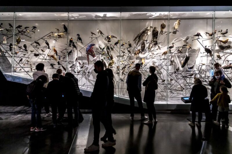 Lyon: Musée des Confluences Entrance Ticket - Final Thoughts