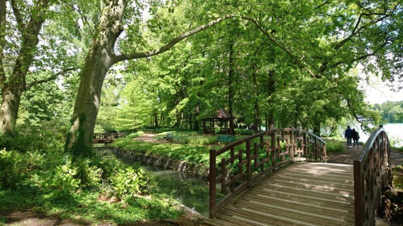 Lyon: 'Parc de la Tête d'Or' Urban Park Walking Tour - A Closer Look at Parc de la Tête dOr