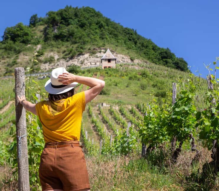 Lyon: Pérouges & Bugey Wine Tour with Tastings - Exploring the Lyon: Pérouges & Bugey Wine Tour with Tastings
