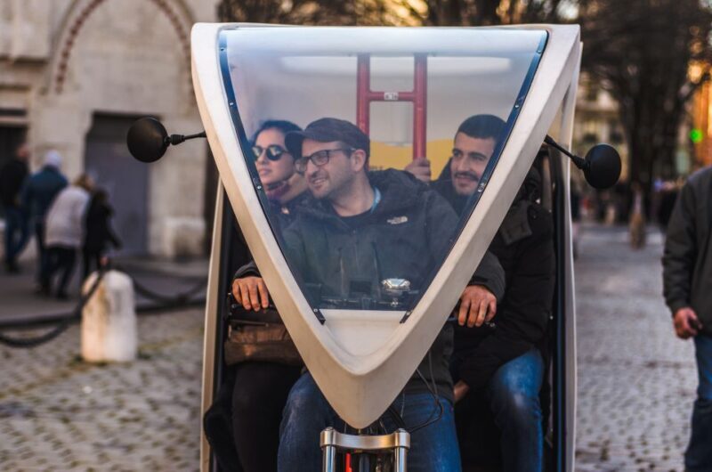 Lyon: Private Pedicab Tour of Top Landmarks & Hidden Gems - Key Points
