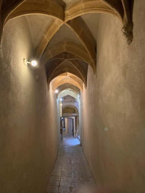 Lyon: Private Walking Tour of "Traboules" in the Old Town - The Good and the Not-So-Good