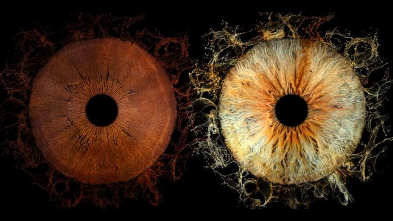 Lyon Saint-Jean: Reveal the beauty of your iris with Iris Galerie - What to Expect From Your Visit to Iris Galerie