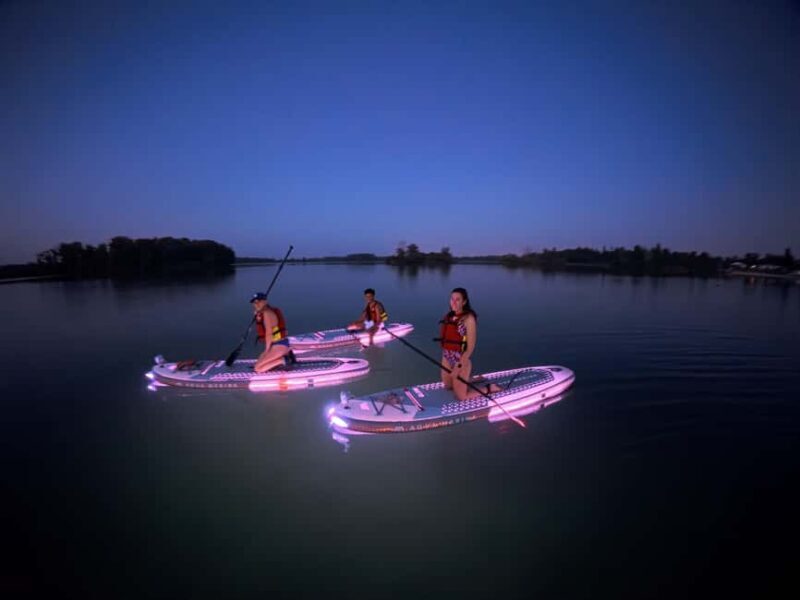 Lyon: Sunset Apéro on a lighted paddleboard at Miribel Jonage Park - Key Points